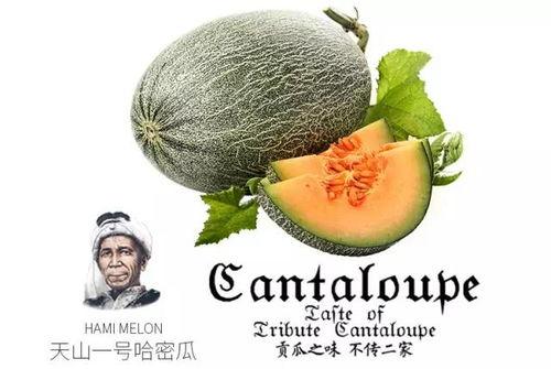 网红吃瓜营销号