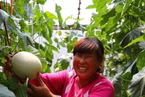 吃瓜官网有客服吗,客服在线解答，为您答疑解惑