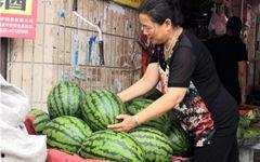 东北网红吃瓜群众是谁,背后的故事与影响力