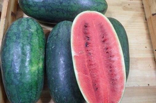 各种网红黑料吃瓜网站11run