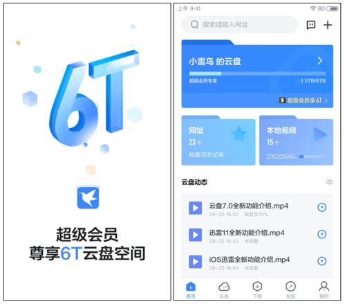 吃瓜爆料迅雷网盘,迅雷网盘风云再起，揭秘幕后真相