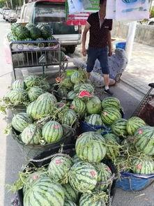 徽县吃瓜网红事件视频曝光,视频曝光引发网络热议