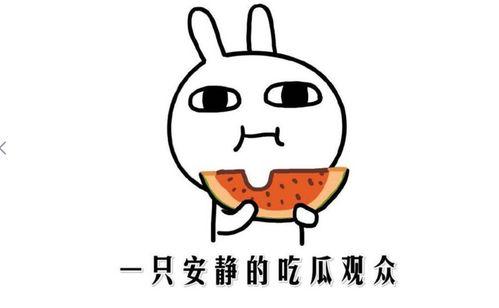 吃瓜免费网红在线观看,网红吃瓜盛宴，在线观看不设限！