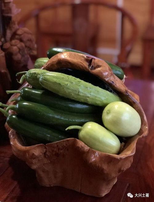 射阳网红吃瓜,揭秘网络热点背后的故事