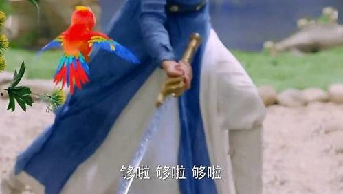 吃瓜网左公子,娱乐圈幕后真相大曝光