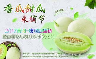 网红吃瓜大集合图片,一场视觉盛宴的狂欢时刻