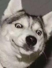 网红情侣吵架吃瓜图片真实,吃瓜群众围观热议！