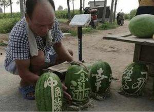 武都网红吃瓜事件真相视频,真相视频曝光背后的真相