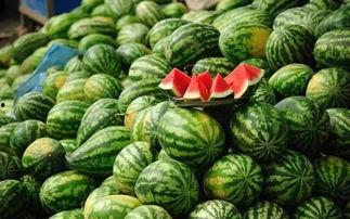 武都网红吃瓜事件真相视频,真相视频曝光背后的真相