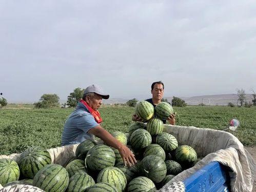 718吃瓜官网入口