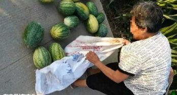 吃瓜最新事件网红中文一区,揭秘背后真相与争议