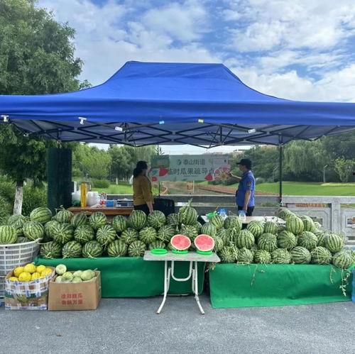 吃瓜群众网站入口官网,带你走进热门资讯的海洋