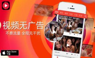 吃瓜网怎么去看广告视频,轻松观看广告视频的独家攻略