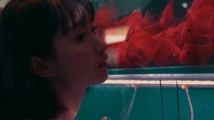 吃瓜少女网剧免费观看,网剧免费观看，揭秘娱乐圈幕后风云