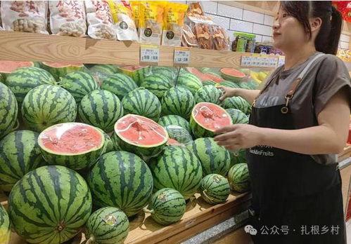 康县网红吃瓜十分钟,十分钟带你领略当地风情