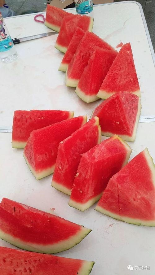 句容吃瓜大赛官网,一场全民参与的夏日狂欢盛宴！”