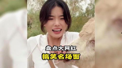 吃瓜的搞笑网红名字叫什么,揭秘搞笑网红“吃瓜群众”的爆笑日常