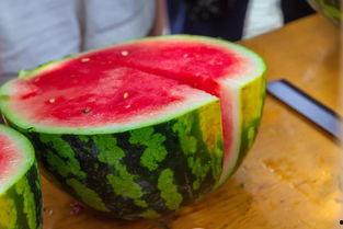 吉林大学网红吃瓜,揭秘校园美食背后的故事