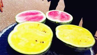 网红吃瓜大爆料最新