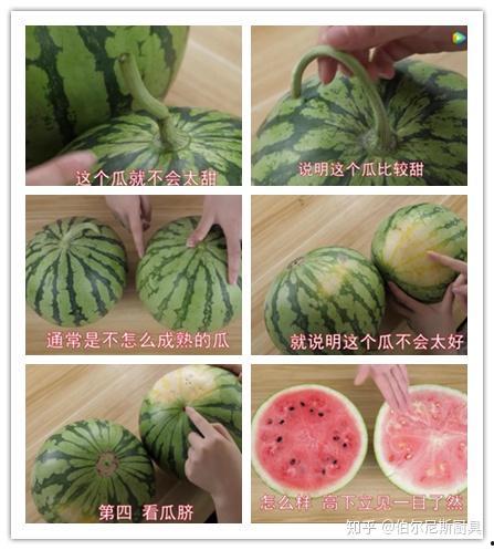 风景如画吃瓜网,带你领略视觉盛宴与轻松娱乐的完美融合