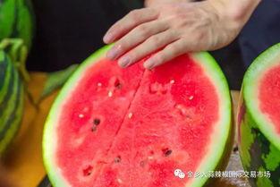 校园吃瓜网,揭秘校园热点事件，带你领略校园生活百态