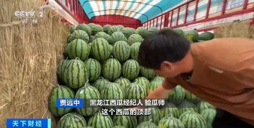 吃瓜网缅北专区,吃瓜网带你探秘神秘边境风云