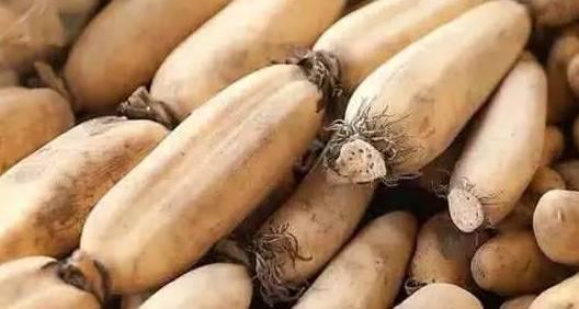 莱芜吃瓜莱芜网红,吃瓜群众眼中的莱芜风采