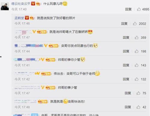 吃瓜网评论区,热议不断，网友观点大碰撞