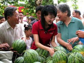 盐城网红吃瓜群众图片,街头热辣瞬间，揭秘网红生活点滴