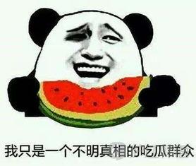 51吃瓜群众网怎么用,揭秘网络吃瓜文化的魅力与影响