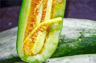 吃瓜都要吃网红瓜,紧跟潮流，畅享网络美食