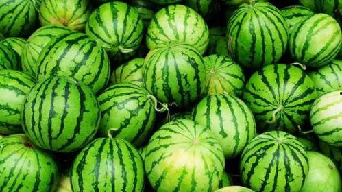 今日网爆热门吃瓜