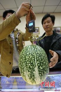 科普17c吃瓜官网黑料,黑料背后的真相与反思