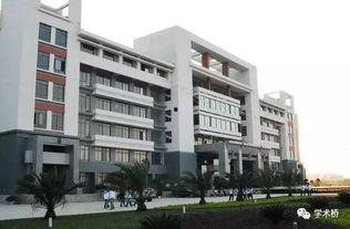 广西师范大学网红吃瓜,广西师范大学瓜香四溢，美食盛宴引围观