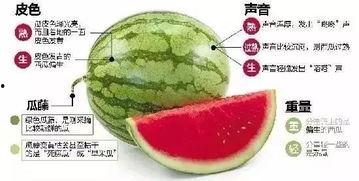 莒县网红吃瓜群微信,揭秘微信朋友圈里的热门话题与趣味生活