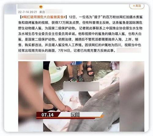 主播网红吃瓜视频大全,揭秘热门视频背后的故事