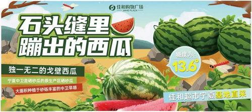 吃瓜网正能量每日大赛,传递美好，共享阳光
